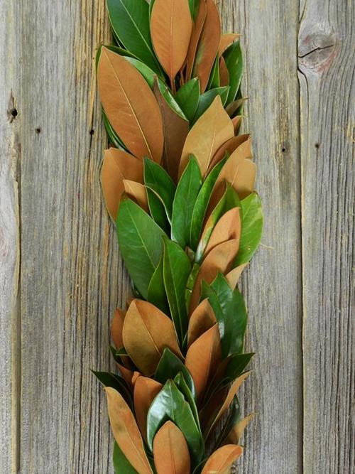 MAGNOLIA GREENS GARLAND